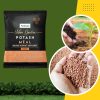 Soft spot solar lamp 24.5 Potash Meal - Bio Potash Fertilizer, Slow Release Granulescm (anthracite)